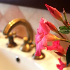 Отель Agriturismo San Giorgio Италия, Казаль-Велино - отзывы, цены и фото номеров - забронировать отель Agriturismo San Giorgio онлайн развлечения