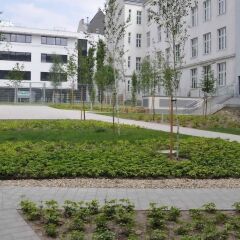Отель Star Inn Hotel Wien Schönbrunn Австрия, Вена - 10 отзывов об отеле, цены и фото номеров - забронировать отель Star Inn Hotel Wien Schönbrunn онлайн спортивное сооружение