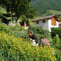 Отель Residence Alpenrose Монклассико фото 3