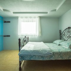 Joy House in Saipan, Northern Mariana Islands from 337$, photos, reviews - zenhotels.com guestroom photo 2
