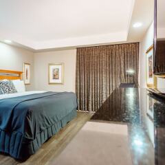 Отель Executive Royal Hotel Calgary Канада, Калгари - отзывы, цены и фото номеров - забронировать отель Executive Royal Hotel Calgary онлайн фото 9