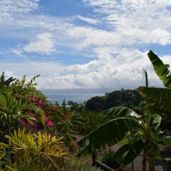 Отель F3 Manuiti Holiday home 2 пляж