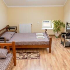 Lions heart hostel комната для гостей фото 2