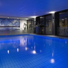 Отель Park Plaza Eindhoven с домашними животными