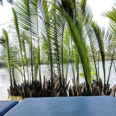 Отель Riverside Oasis Villa бассейн фото 3