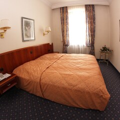 Отель Bayerischer Hof Dresden Германия, Дрезден - 2 отзыва об отеле, цены и фото номеров - забронировать отель Bayerischer Hof Dresden онлайн фото 8