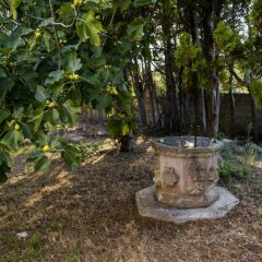 Отель Villa Le Cesine Верноле фото 9