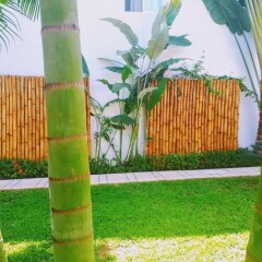 Отель Casa Luz de Luna Мексика, Сиуатанехо - отзывы, цены и фото номеров - забронировать отель Casa Luz de Luna онлайн детские мероприятия