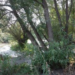 Отель Billingsley Creek фото 2