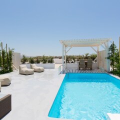 Отель Naxian Utopia Luxury Villas & Suites бассейн фото 3