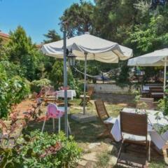 Mavi Pansiyon in Ayvalik, Turkey from 31$, photos, reviews - zenhotels.com photo 3