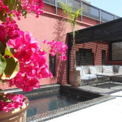 Отель Riad Alegria Марокко, Марракеш - отзывы, цены и фото номеров - забронировать отель Riad Alegria онлайн фото 13