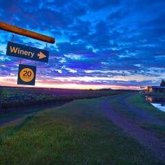 Отель Algodon Wine Estates and Champions Club Аргентина, Сан-Рафаэль - отзывы, цены и фото номеров - забронировать отель Algodon Wine Estates and Champions Club онлайн пляж