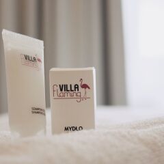 Отель Villa Flaming ванная
