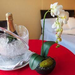 Отель Bahía Sardina Колумбия, Сан-Андрес - отзывы, цены и фото номеров - забронировать отель Bahía Sardina онлайн в номере