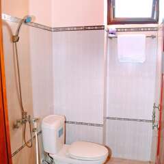 Отель Golden Leaf Homestay ванная
