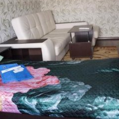 Гостиница Амто в Елизове отзывы, цены и фото номеров - забронировать гостиницу Амто онлайн Елизово комната для гостей фото 4