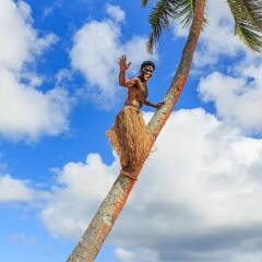 Отель Maui Palms фото 2
