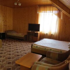Alyona Hotel комната для гостей фото 5