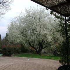 Отель Fonte Del Castagno Синалунга парковка