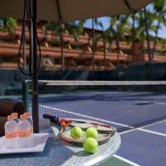 Отель Villa del Palmar Beach Resort and Spa, Puerto Vallarta спортивное сооружение