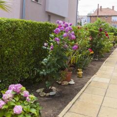 Отель Guest House Kristal Болгария, Равда - отзывы, цены и фото номеров - забронировать отель Guest House Kristal онлайн фото 5