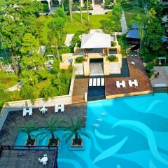 Dong Fang Hotel с домашними животными