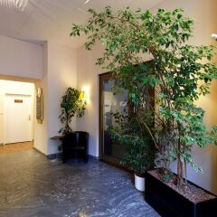 Hotel Europa City интерьер отеля фото 4