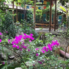 Hello Chengdu International Youth Hostel фото 3