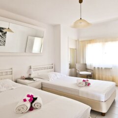 Stavento Apartments in Kefalonia, Greece from 113$, photos, reviews - zenhotels.com guestroom