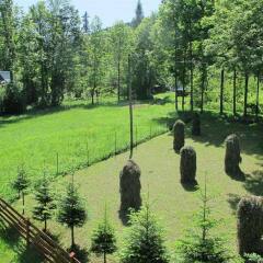 Отель Apartamenty Pod Skocznią