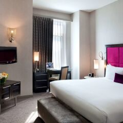 Отель Gansevoort Meatpacking США, Нью-Йорк - отзывы, цены и фото номеров - забронировать отель Gansevoort Meatpacking онлайн комната для гостей фото 5