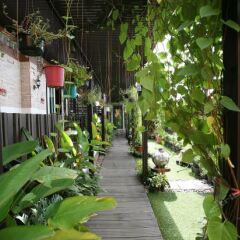 Отель Sabai Sabai @ Sukhumvit Бангкок фото 6