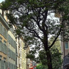 Отель Sorell Hotel Rütli Швейцария, Цюрих - отзывы, цены и фото номеров - забронировать отель Sorell Hotel Rütli онлайн фото 5