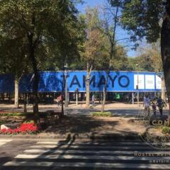 Отель CDMX Hostel Art Gallery Мексика, Мехико - отзывы, цены и фото номеров - забронировать отель CDMX Hostel Art Gallery онлайн детские мероприятия