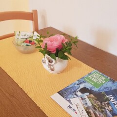 Отель Apartmani Petkovic Черногория, Тиват - 1 отзыв об отеле, цены и фото номеров - забронировать отель Apartmani Petkovic онлайн удобства в номере