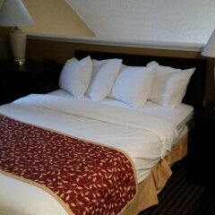Отель Hawthorn Suites by Wyndham Columbus North США, Колумбус - отзывы, цены и фото номеров - забронировать отель Hawthorn Suites by Wyndham Columbus North онлайн комната для гостей фото 2