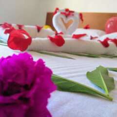 Отель Bella Rose Aqua Park Beach Resort спа
