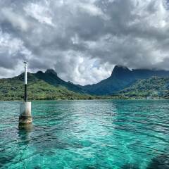 Отель Moorea Surf Bed and Breakfast фото 2