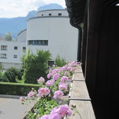 Hotel Schatzmann in Triesen, Liechtenstein from 291$, photos, reviews - zenhotels.com balcony