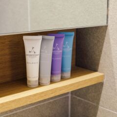 Отель Phoenix Pyeongchang Hotel Южная Корея, Пхёнчан - отзывы, цены и фото номеров - забронировать отель Phoenix Pyeongchang Hotel онлайн сейф в номере