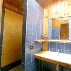 House with 9 Bedrooms in la Plaine Des Cafres, with Wonderful Mountain View And Enclosed Garden - 23 Km From the Beach in La Plaine des Cafres, France from 96$, photos, reviews - zenhotels.com bathroom photo 2