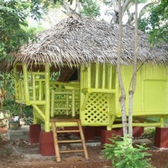 Отель Bamboo Rooms & Cottages by Dang Maria BB Филиппины, Пуэрто-Принцеса - отзывы, цены и фото номеров - забронировать отель Bamboo Rooms & Cottages by Dang Maria BB онлайн фото 7