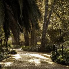 Отель Sintra Marmòris Palace фото 3