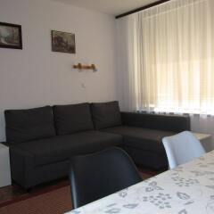 Апартаменты Apartments Kaninska vas комната для гостей фото 3