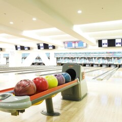 Отель Shinagawa Prince Hotel Япония, Токио - 1 отзыв об отеле, цены и фото номеров - забронировать отель Shinagawa Prince Hotel онлайн развлечения