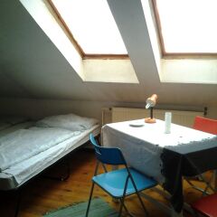 1St Hostel детские мероприятия