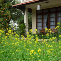Отель Tropical Garden Homestay Villa фото 9