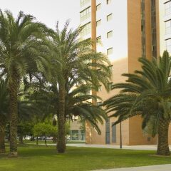 Отель Apartamentos Plaza Picasso Испания, Валенсия - 2 отзыва об отеле, цены и фото номеров - забронировать отель Apartamentos Plaza Picasso онлайн фото 3
