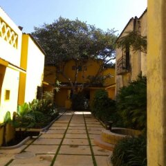Отель Demetria Bungalows Мексика, Гвадалахара - отзывы, цены и фото номеров - забронировать отель Demetria Bungalows онлайн фото 3